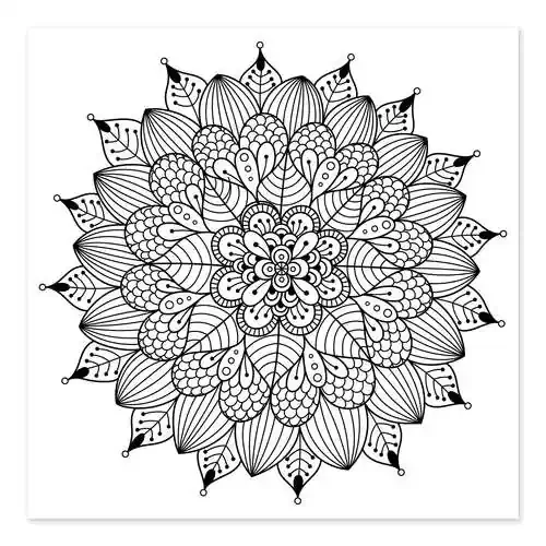 Mandala floral Editors Choice