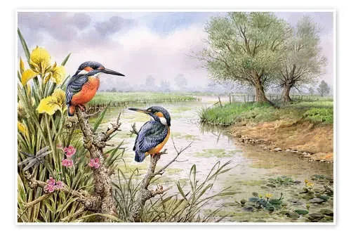 Martines pescadores en la orilla del río de Carl Donner Bridgeman Images