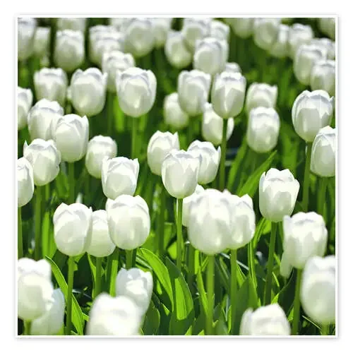 Meadow of tulips de pixelliebe