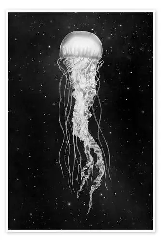 Medusa espacial de Terry Fan