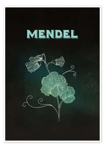 Mendel de RNDMS