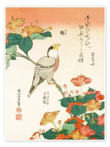 Mirabilis jalapa y picogordo de Katsushika Hokusai Master Collection