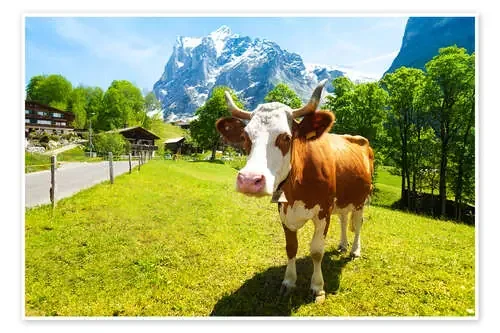 Miss Willow Cow Editors Choice