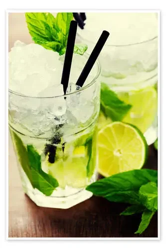 Mojito cocktail with ingredients Editors Choice