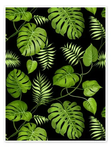 Monstera with palms Editors Choice