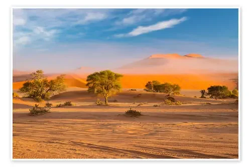 Morning mist over sand dunes and Acacia trees at Sossusvlei, Namibia de Fabio Lamanna