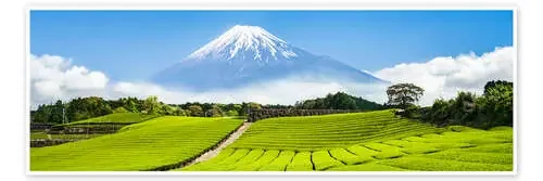 Mount Fuji and tea fields in Shizuoka, Japan de Jan Christopher Becke