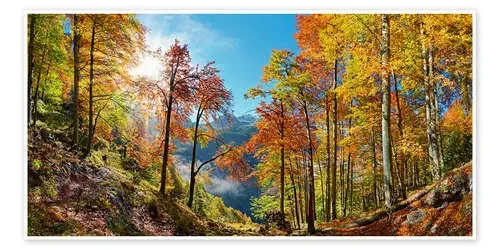 Mountain forest in autumn de Michael Rucker