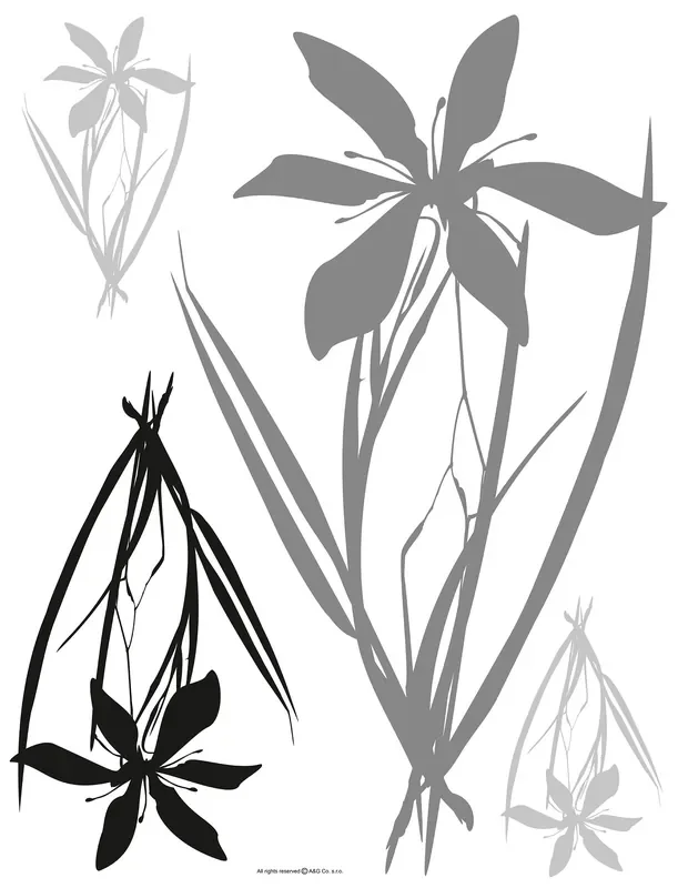 mural decorativo autoadhesivo flores gris y negro de Sanders & Sanders – 600253