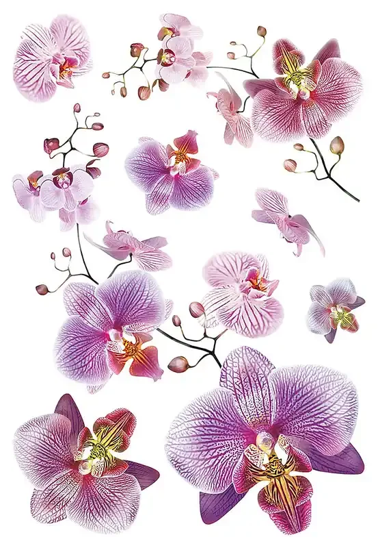 mural decorativo autoadhesivo flores rosa y morado lila de Sanders & Sanders – 600321