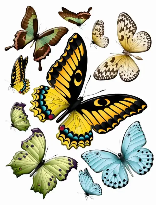 mural decorativo autoadhesivo mariposas amarillo, verde y azul de Sanders & Sanders – 600284