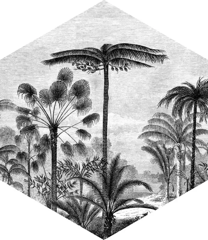 mural decorativo autoadhesivo paisaje con palmeras blanco y negro de ESTAhome – 159024
