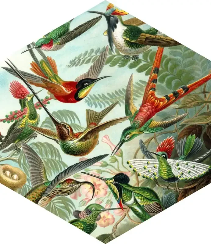 mural decorativo autoadhesivo pájaros verde selva tropical de ESTAhome – 158999