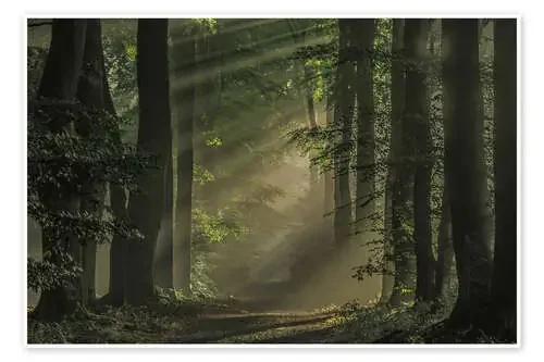 Mysterious Way de Roelof de Hoog