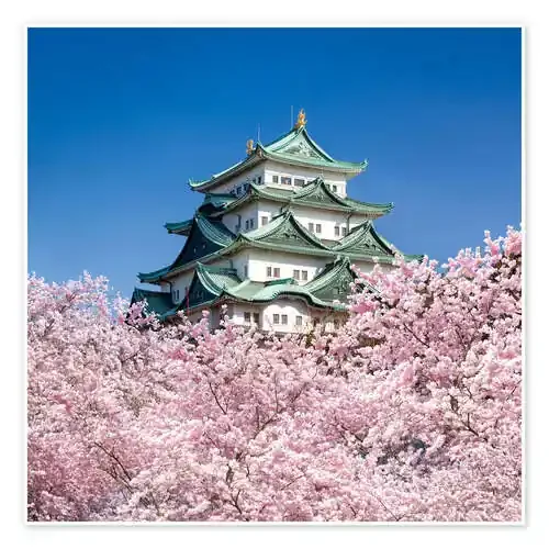 Nagoya castle with cherry blossom in spring de Jan Christopher Becke