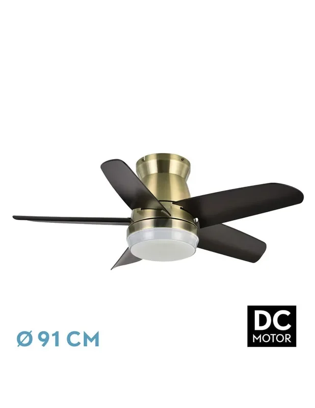Neutrón Ventilador 5 Aspas Cuero Negro