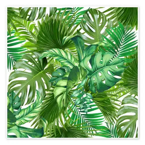 new tropic life de Mark Ashkenazi