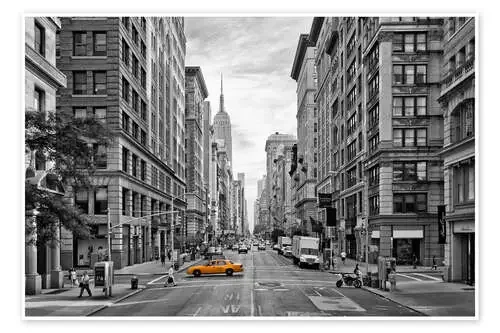 NEW YORK CITY 5th Avenue de Melanie Viola