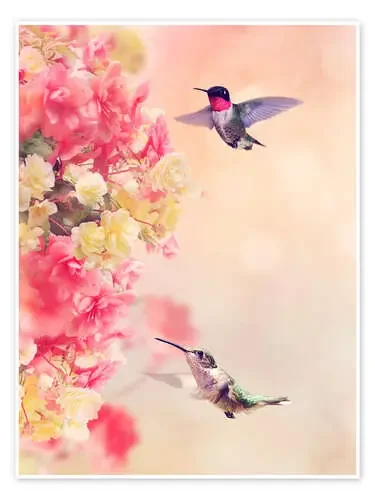 Niedliche Kolibris Editors Choice