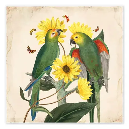 Oh mi loro II de Mandy Reinmuth