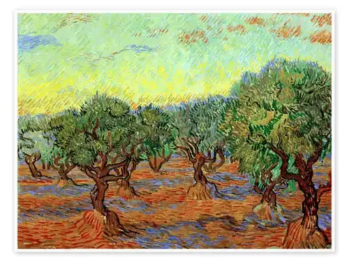 Olivar II de Vincent van Gogh akg-images