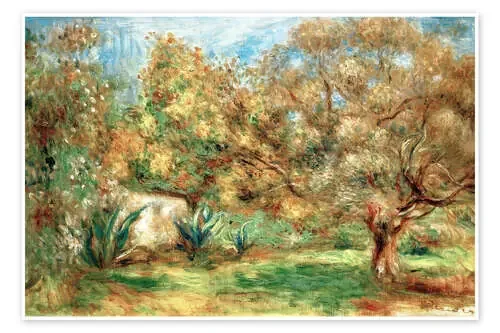 Olive garden de Pierre-Auguste Renoir akg-images