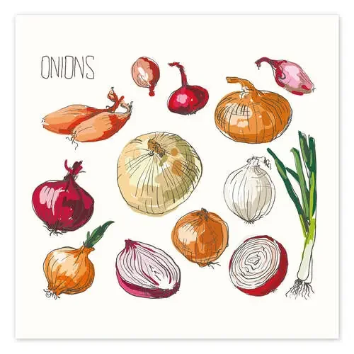 Onions collage Editors Choice