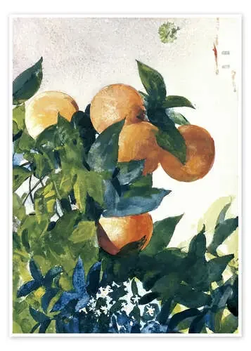 Oranges on a Branch de Winslow Homer Bridgeman Images