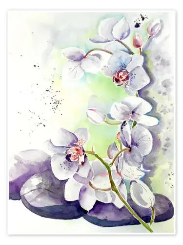 Orquídeas de Maria Földy