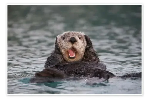 Otter de Milo Burcham Design Pics
