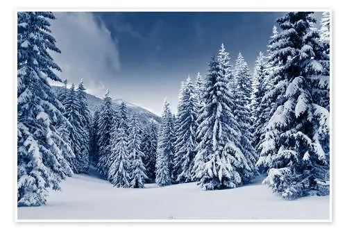 Paisaje de invierno cubierto de nieve Editors Choice