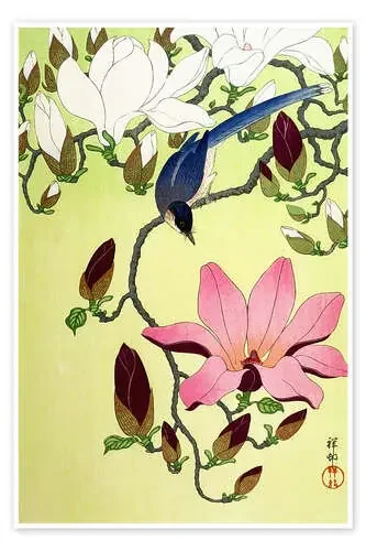 Pájaro con magnolias rosa y blanca de Ohara Koson Master Collection