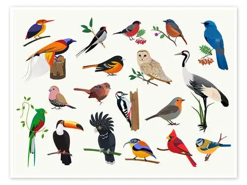 Pájaros coloridos II de Kidz Collection Editors Choice