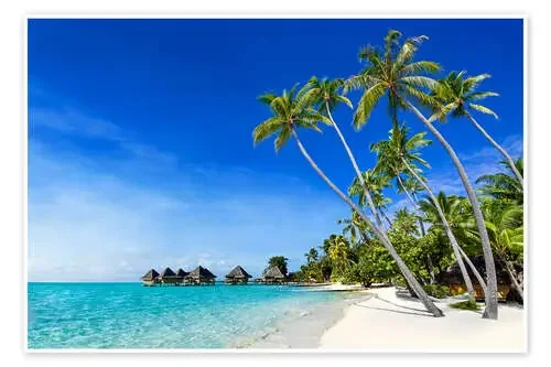 Palm beach and ocean on a deserted island in the tropics de Jan Christopher Becke