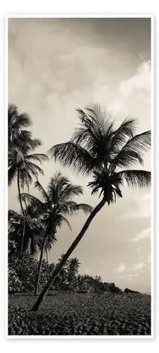 Palm Beach Impressions Editors Choice