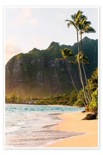 Palm beach in Hawaii de Road To Aloha