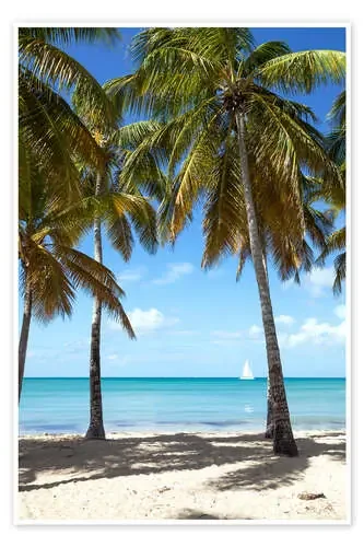 Palm beach with sailboat, Martinique de Matteo Colombo
