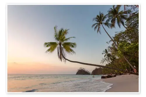 Palm tree and exotic sandy beach at sunset, Costa Rica de Matteo Colombo