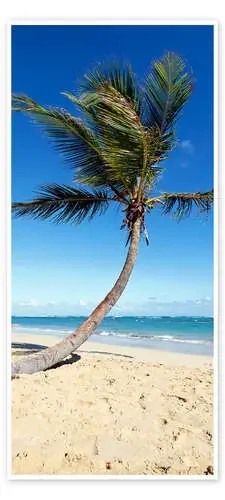 Palm Tree, Sand and Sea Editors Choice