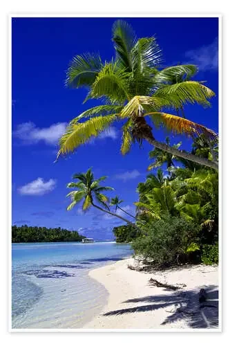 Palmeras y playa en Tapuaetai de Douglas Peebles Danita Delimont