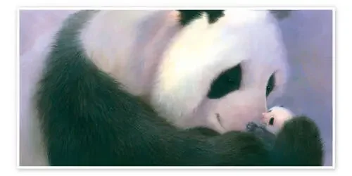 Panda & Newborn de John Butler MGL Licensing