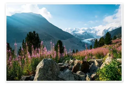 Panoramic view of Morteratsch valley with Piz Palu peak in the background Pontresina, Endg de Peter Wey