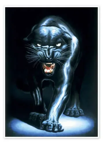 Pantera negra de Adrian Rigby MGL Licensing