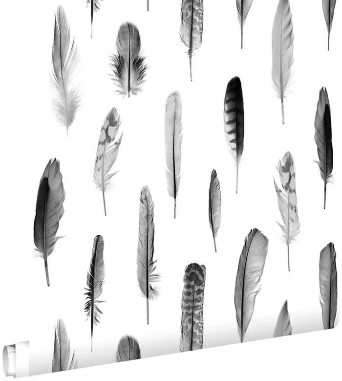 papel pintado plumas negro y blanco mate de ESTAhome – 138897