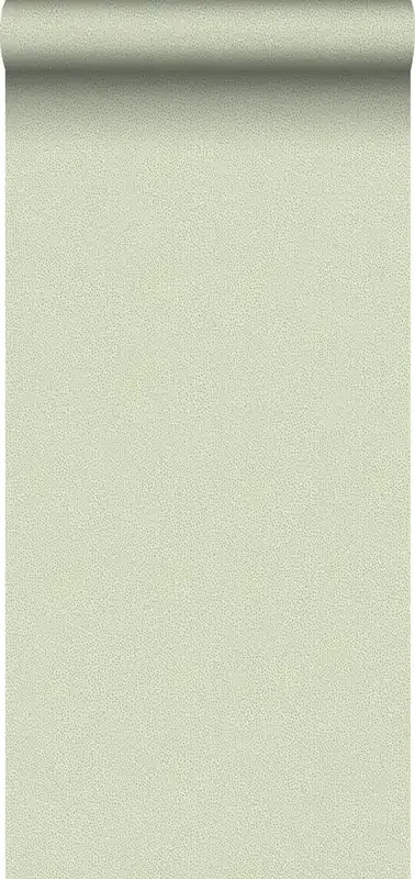 papel pintado puntos lunares verde de Sanders & Sanders – 640663
