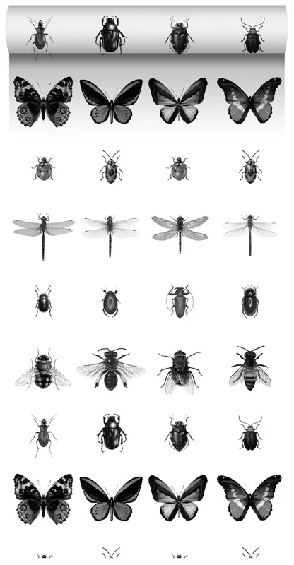 papel pintado XXL dibujo a la pluma de insectos blanco y negro de ESTAhome – 158827