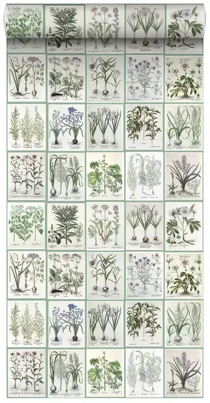 papel pintado XXL páginas de un libro botánico de flores y plantas verde de ESTAhome – 159229