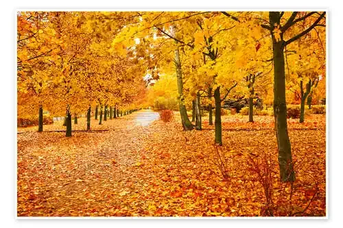 Parque naranja Editors Choice