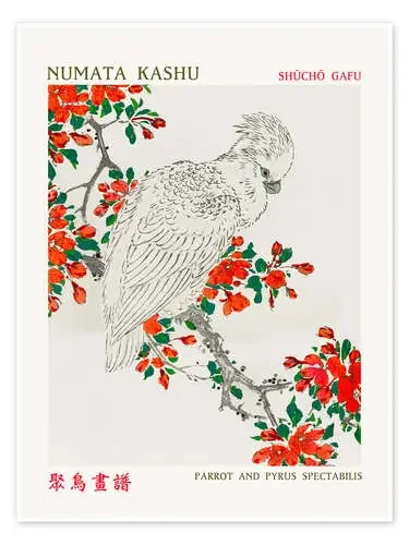 Parrot & Pyrus Spectabilis de Numata Kashu Exhibition Posters