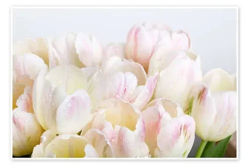 Pastel-colored tulips 06 de Nailia Schwarz